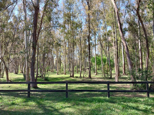 Terreno Con Importante Mejoras En Chacras Del Paraná - Zarate