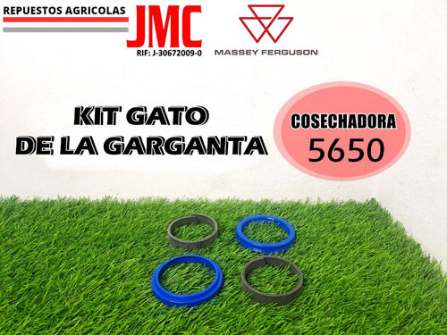 Kit Gato De La Garganta