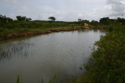 Imagen 28 de 28 de Se Vende Linda Finca En Oritupano