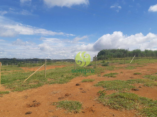 Imagem 14 de 24 de Terreno Para Alugar, 15.000 M² - Liberdade - Ribeirão Das Neves/mg - Te0038