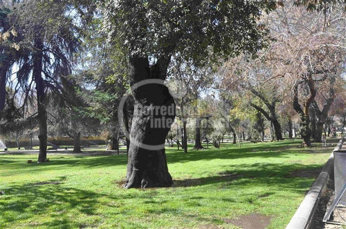 Imagen 20 de 20 de Departamento En Venta En Santiago
