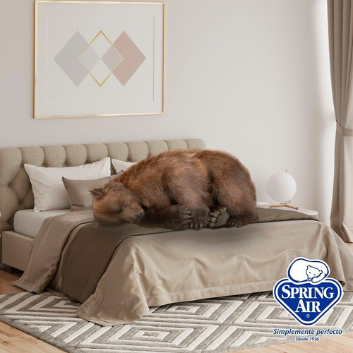 Colchón Individual Ortopédico + Box Spring Air Freeman Sp