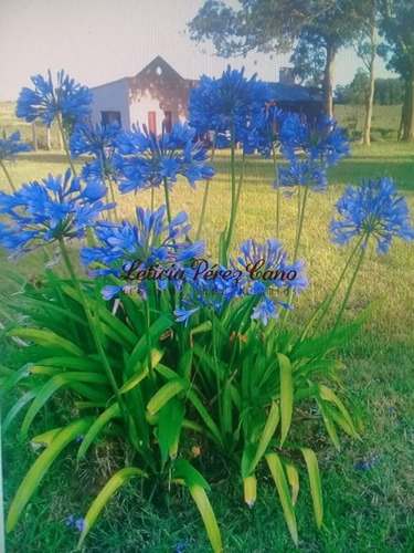 Imagen 20 de 22 de Venta De Chacra Con Casa , 5 Has , Maldonado