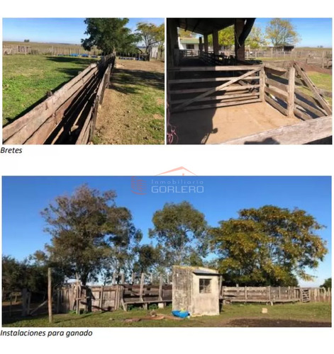 Campo En Río Negro - Averías Chico
