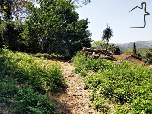 Imagem 29 de 30 de Casa A Venda Com 4 Dormitórios 4 Vagas Em Santana De Parnaíba Km 45 Da Castelo - Ca00031 - 33127831