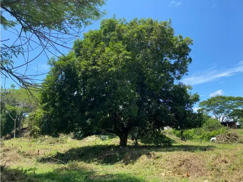 Venta De Lote Independiente En Sopetran