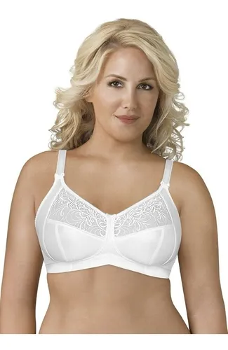 Brasier 44 2025 d