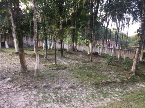 Imagem 2 de 10 de Chácara No Litoral Sul, Com 02 Dormitórios, Casa De Caseiro!