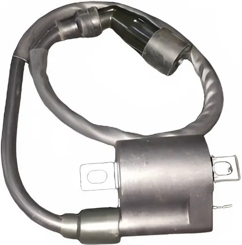 Bobina De Encendido Para Sbr