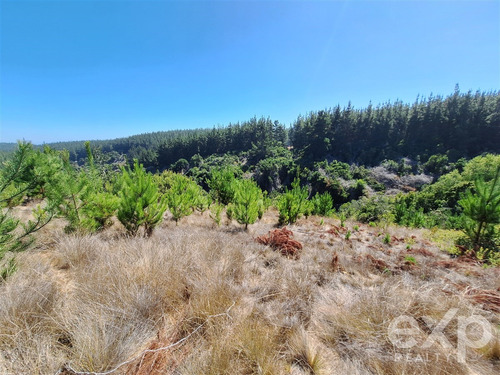 Sitio Vista Amplia En Venta En Pichilemu