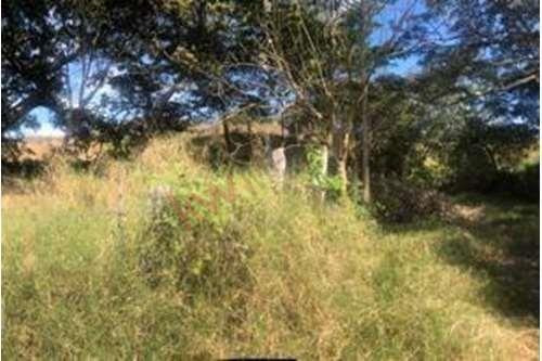 Imagen 3 de 7 de Se Vende Rancho En Villaflores, Chiapas Rancho En Melchor Ocampo, Villaflores