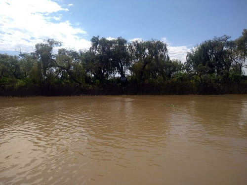 Imagen 2 de 10 de Terreno - Dorado