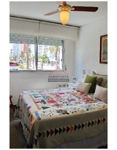 Apartamento En Peninsula, 2 Dormitorios *- Ref: 2926