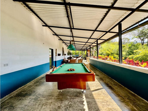 Se Vende Finca 19 Hectareas San Casimiro