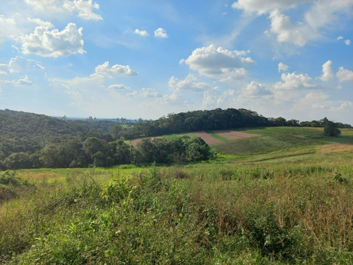Imagem 15 de 15 de 11o- Terrenos Direto Com O Proprietário