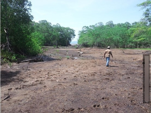 Se Vende Terreno En Hicaco Soná