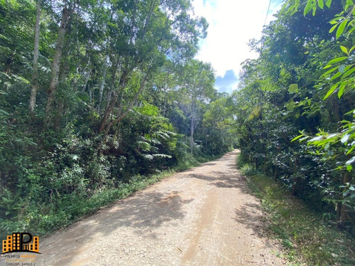 Imagem 14 de 15 de Chácara De 2.500m2 `a 2,5km Do Centro De Juquitiba À Venda Bairro Cachoerinha - Ch07781 - 69454197
