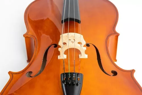 Tercera imagen para búsqueda de cello