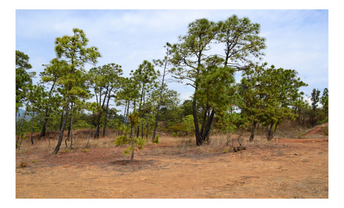 Terreno En Venta En Temascaltepec.