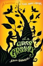 In A Glass Grimmly - Adam Gidwitz