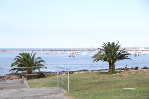 Imagen 6 de 12 de Venta Apartamento Monoambiente Pocitos Virago