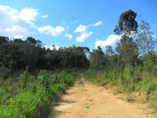 Imagem 11 de 11 de Terreno Lote Para Venda Em Centro Mandirituba-pr - 5702