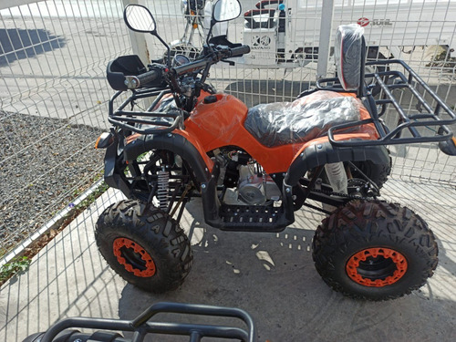 Imagen 6 de 9 de Cuatrimoto Atv 125cc Con Respaldo, Semiautomática
