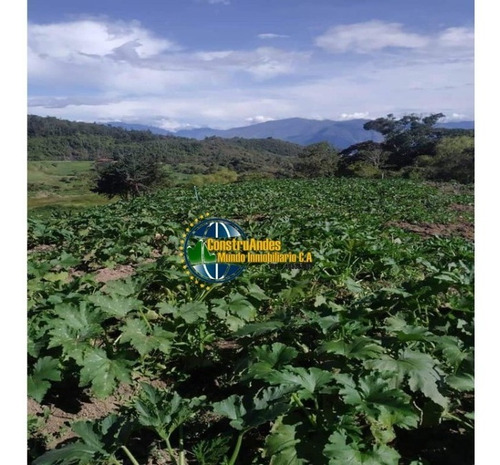 Imagen 10 de 10 de Finca Jaji