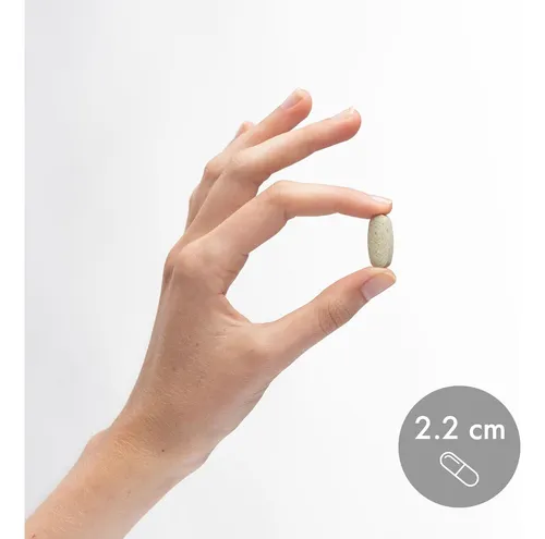 Dr. Mercola Complejo De Alimentos Integrales Con Multivitamínico Añadido Más Minerales Vitales, 30 Porciones (240 Table