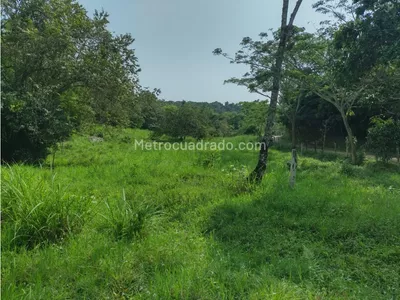 Finca en venta