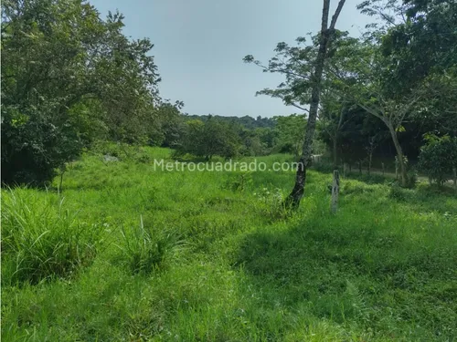 Finca En Venta En Viota Vía A La Mesa 13 Hectareas