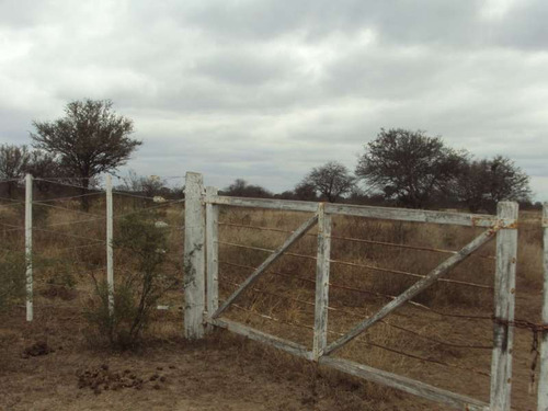 Imagen 6 de 9 de Campo Ganadero En Venta En Santiago Del Estero