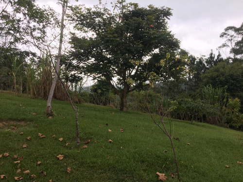 Imagem 4 de 30 de Chácara De Frente Para Represa Ideal Para Moradia E Lazer. - 289 - 34050183