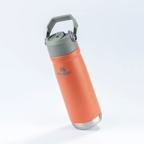 Garrafa Térmica Stanley Flip Straw Guava 651ml