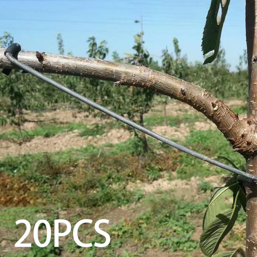 20x Esparcidor De Ramas De Frutas Nuevas Formas De 26t