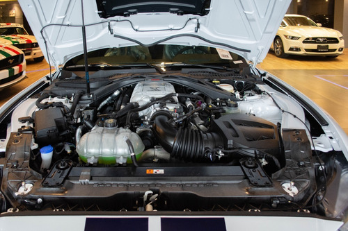 Imagen 14 de 15 de Ford Shelby 2021