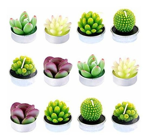 - Kit De 12 Velas Decorativas De Cactus Suculentas, Lindas P