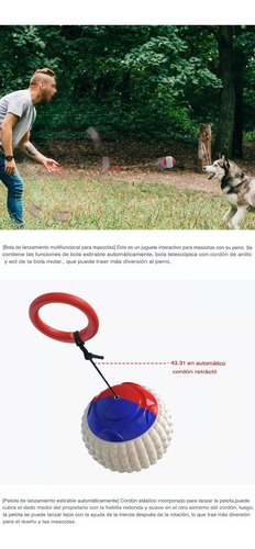 Pelota Tipo Yoyo Para Perros Con Cuerda Retractil Color