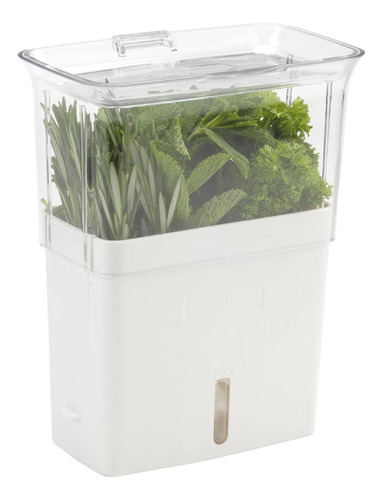 Cole Y Mason Fresh Herb Keeper Contenedor Clear