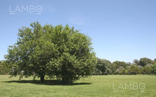 Venta Lote Pilar La Esperanza