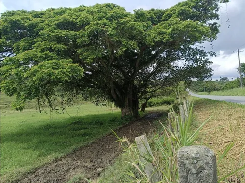 Se Vende Finca Vía Barragan - Rio Verde