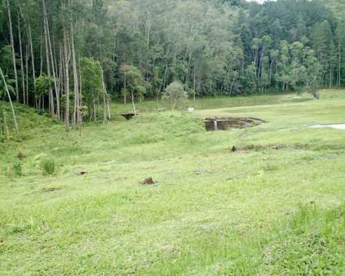 Imagem 11 de 13 de Sitio Em Juquitiba, Sitio À Venda Em Juquitiba - 09 - 32982811