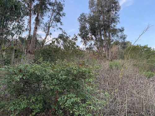 Terreno En Venta Con Casa Antigua , Buen Estado