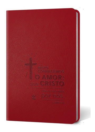 Bíblia Sagrada Cruz  | Aec | Letras Vermelhas | Cp Vermelha