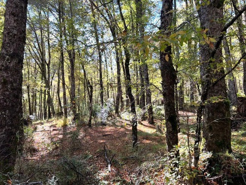 Parcela En La Precordillera Malalcahuello