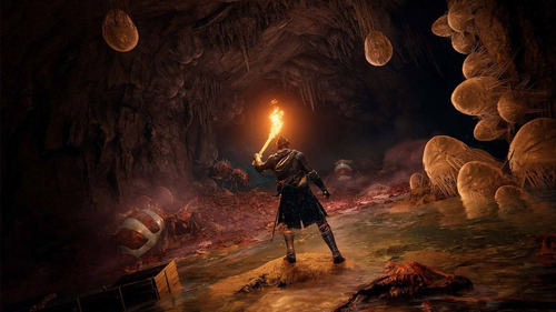 Juego Elden Ring Ps4 Playstation 4 Nuevo