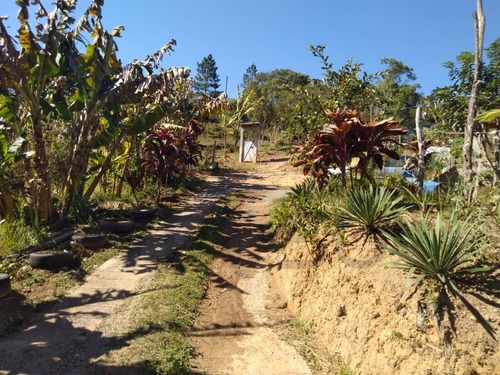 Imagem 2 de 28 de Chácara Modesta Com Boa Localização!!! - 272 - 69892463