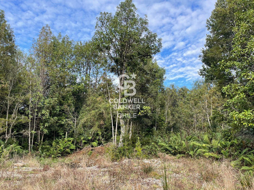 Parcela 5.750 M² Con Bosque Nativo, Cerca De Puerto Varas