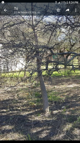 Imagen 4 de 6 de Fraccion De Terreno - En Venta - Rio Segundo - Frente A Rio Xanaes
