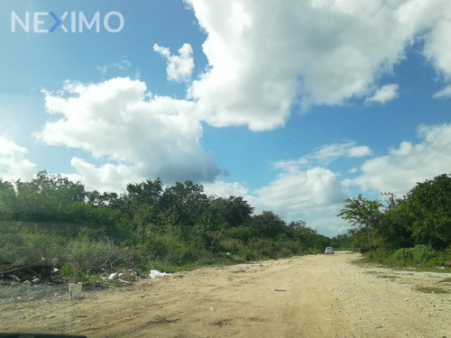 Imagen 2 de 5 de Terrenos En Venta En Region 7 En Tulum